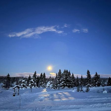 Nordseter Fjellpark, Hyttegrend Eksteriør bilde
