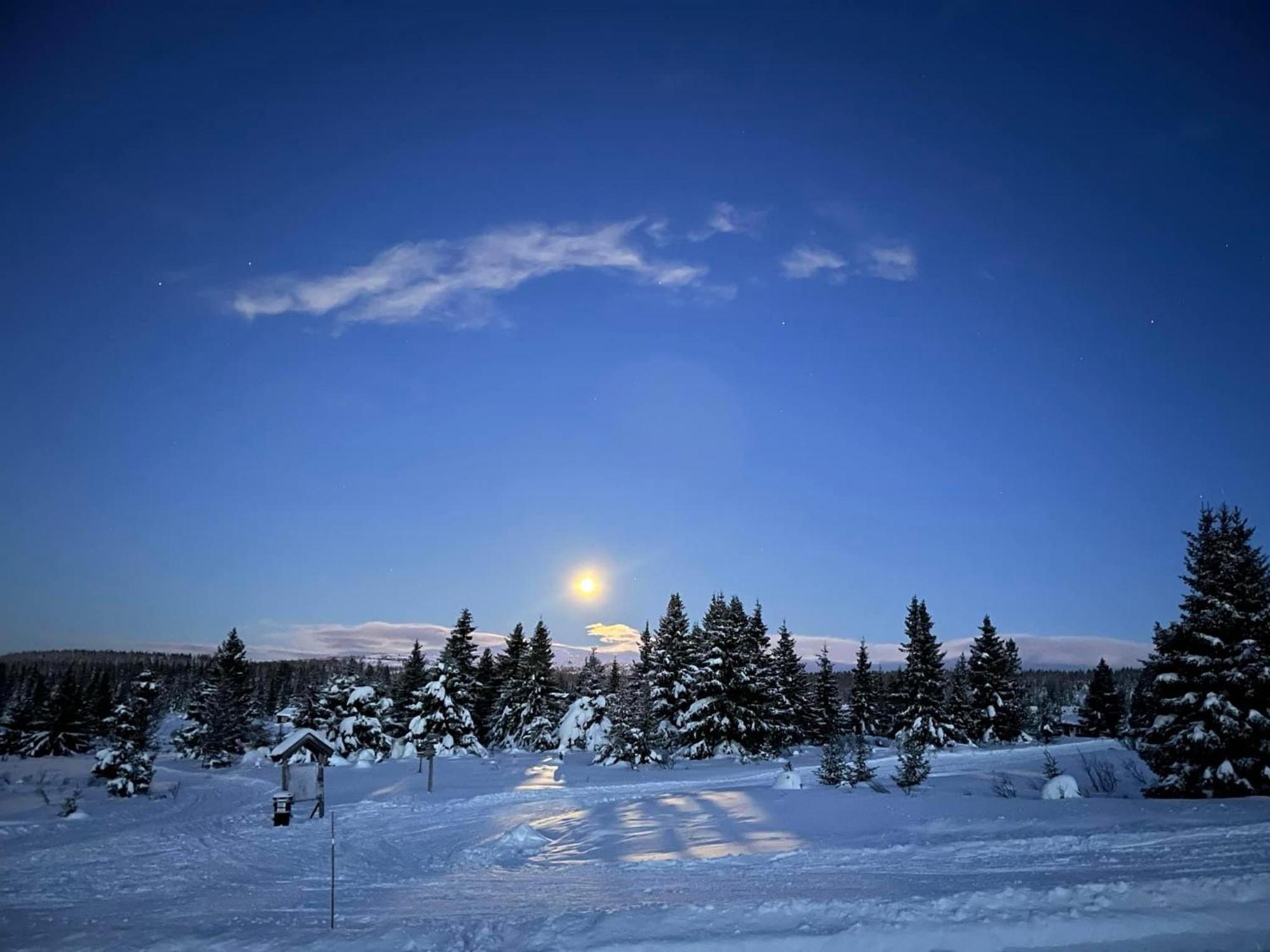 Nordseter Fjellpark, Hyttegrend Eksteriør bilde