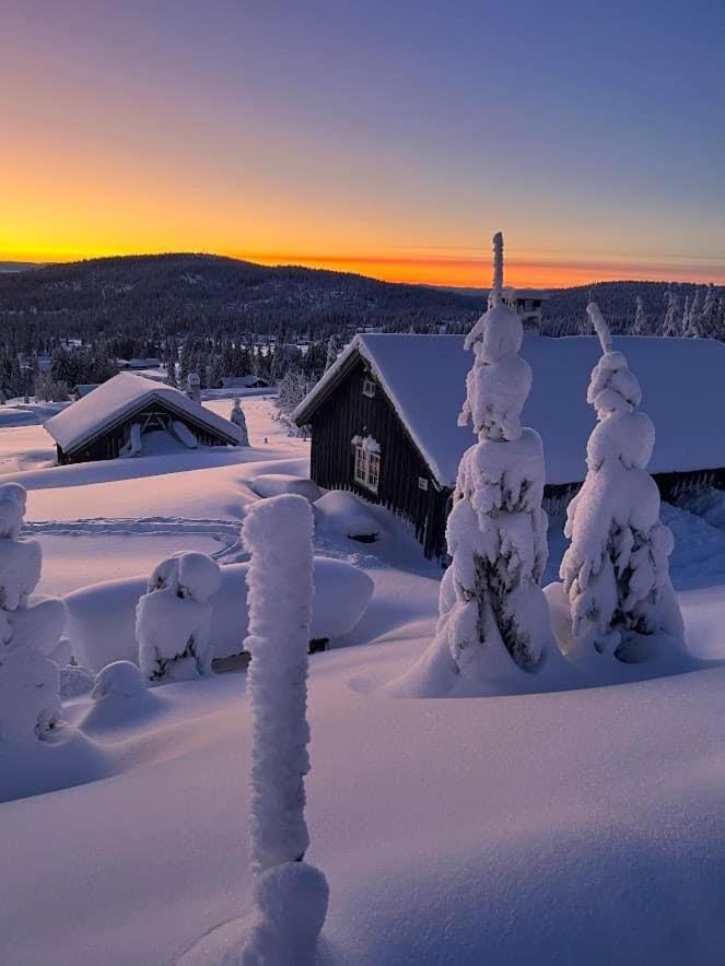 Nordseter Fjellpark, Hyttegrend Rom bilde